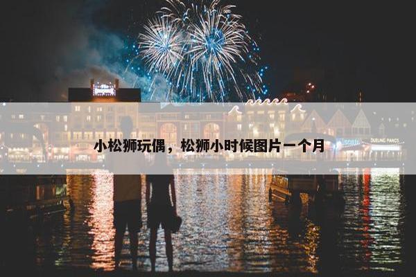 小松狮玩偶，松狮小时候图片一个月