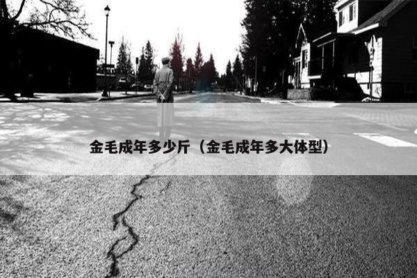 金毛成年多少斤（金毛成年多大体型）