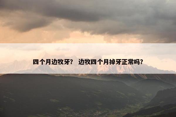 四个月边牧牙？ 边牧四个月掉牙正常吗？