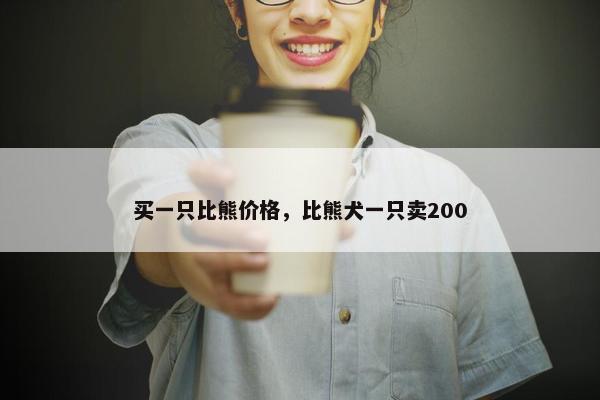 买一只比熊价格，比熊犬一只卖200