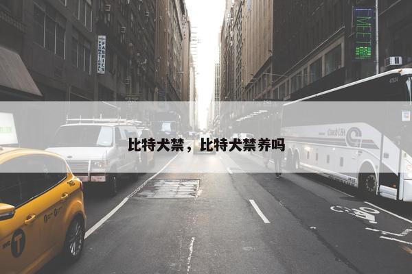 比特犬禁,比特犬禁养吗