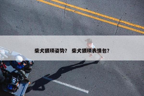 柴犬猥琐姿势？ 柴犬猥琐表情包？