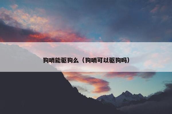 狗哨能驱狗么（狗哨可以驱狗吗）