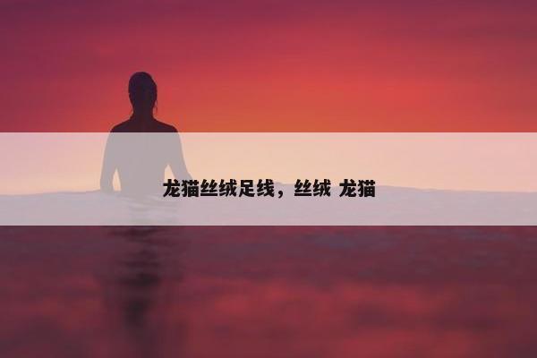 龙猫丝绒足线，丝绒 龙猫