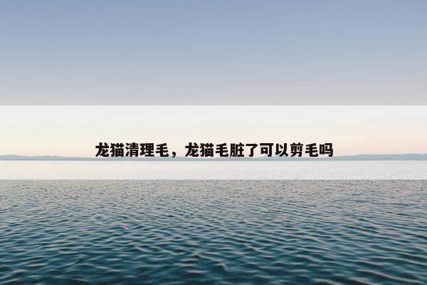 龙猫 第5页