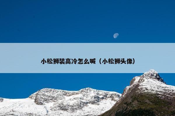 小松狮装高冷怎么喊（小松狮头像）