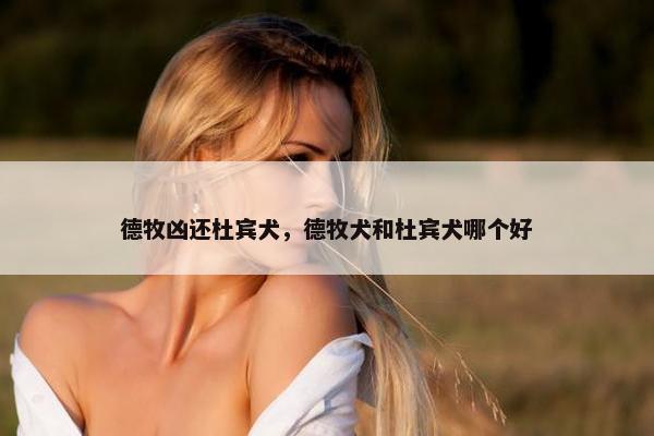 德牧凶还杜宾犬，德牧犬和杜宾犬哪个好
