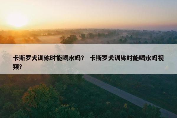 卡斯罗犬训练时能喝水吗？ 卡斯罗犬训练时能喝水吗视频？