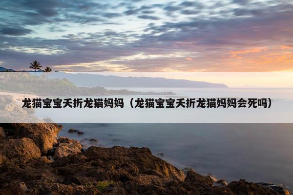 龙猫宝宝夭折龙猫妈妈（龙猫宝宝夭折龙猫妈妈会死吗）