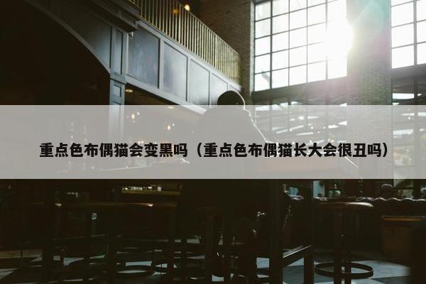 重点色布偶猫会变黑吗（重点色布偶猫长大会很丑吗）