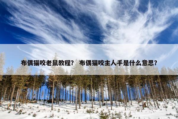 布偶猫咬老鼠教程？ 布偶猫咬主人手是什么意思？