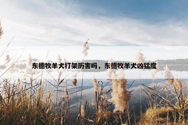 东德牧羊犬打架历害吗,东德牧羊犬凶猛度