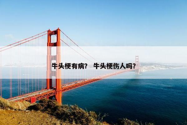 牛头梗有病? 牛头梗伤人吗?