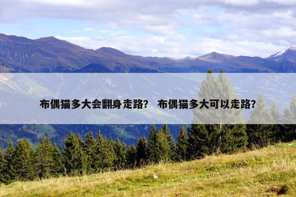 布偶猫多大会翻身走路？ 布偶猫多大可以走路？