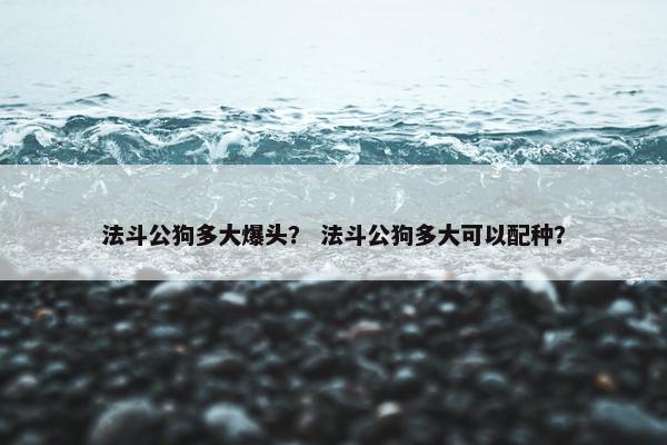 法斗公狗多大爆头？ 法斗公狗多大可以配种？