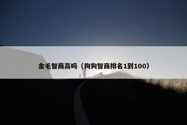 金毛智商高吗(狗狗智商排名1到100)