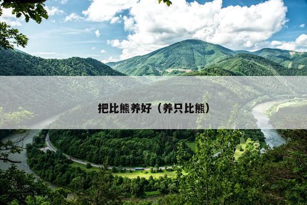 把比熊养好(养只比熊)