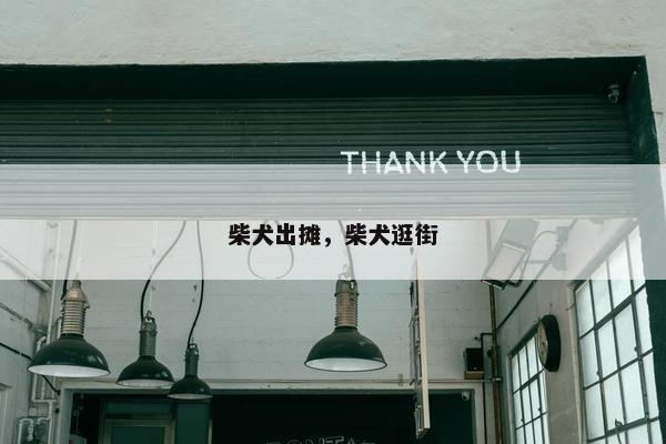柴犬出摊，柴犬逛街
