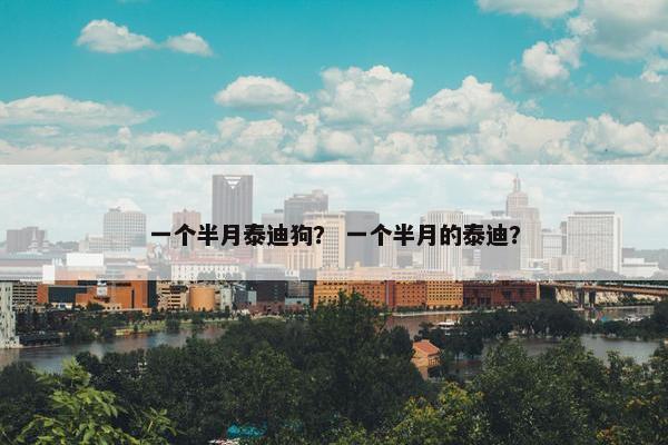 一个半月泰迪狗？ 一个半月的泰迪？