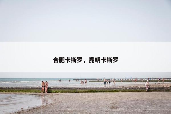 合肥市