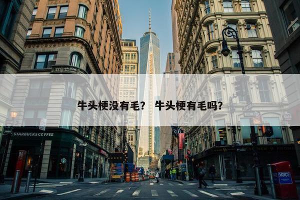 牛头梗没有毛？ 牛头梗有毛吗？