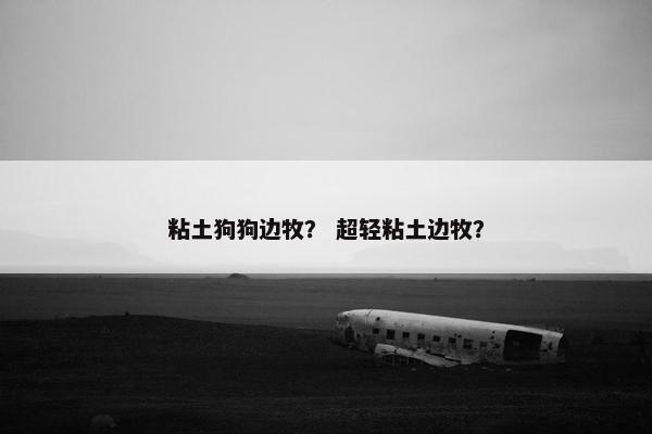 粘土狗狗边牧？ 超轻粘土边牧？