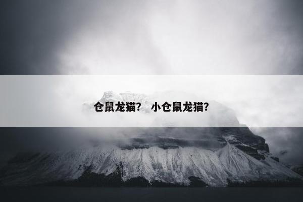 仓鼠龙猫？ 小仓鼠龙猫？