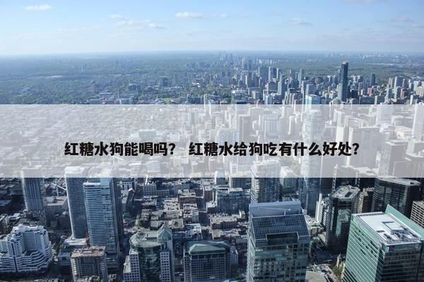 红糖水狗能喝吗? 红糖水给狗吃有什么好处?