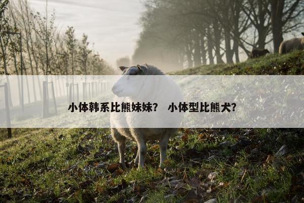 小体韩系比熊妹妹？ 小体型比熊犬？