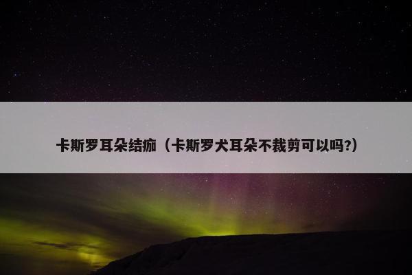 卡斯罗耳朵结痂（卡斯罗犬耳朵不裁剪可以吗?）