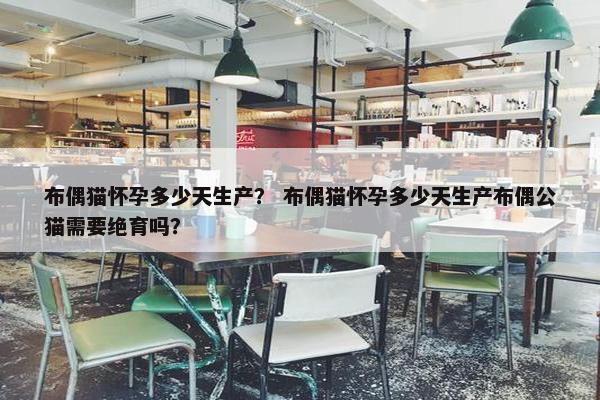 布偶猫怀孕多少天生产？ 布偶猫怀孕多少天生产布偶公猫需要绝育吗？