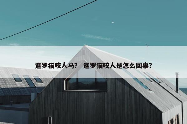 暹罗猫咬人马？ 暹罗猫咬人是怎么回事？