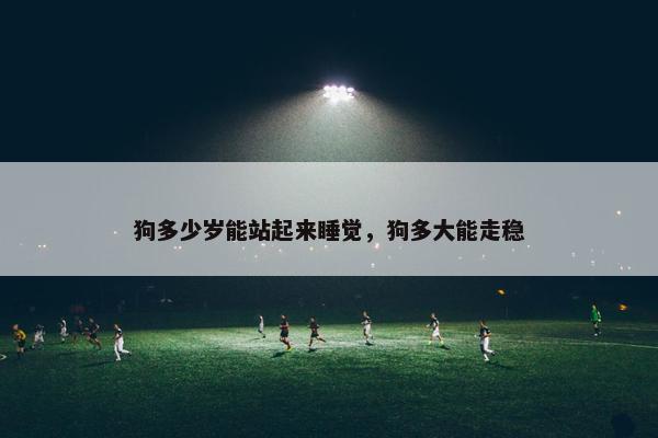 狗多少岁能站起来睡觉,狗多大能走稳