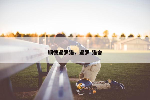 顺德暹罗猫，暹罗 猫舍