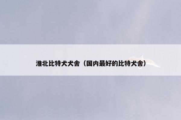淮北比特犬犬舍（国内最好的比特犬舍）