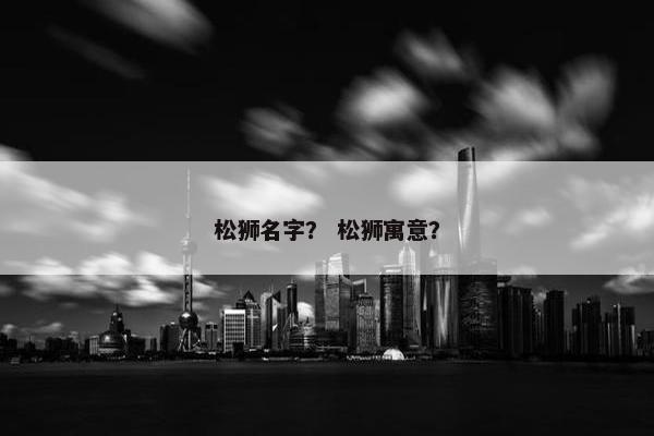 松狮名字？ 松狮寓意？