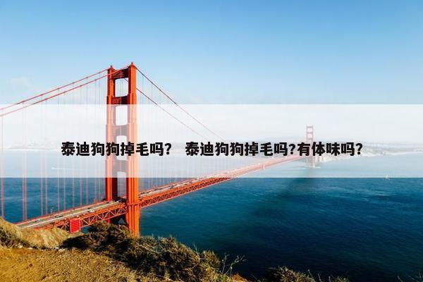 泰迪狗狗掉毛吗？ 泰迪狗狗掉毛吗?有体味吗？