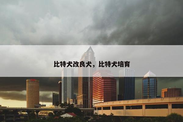 比特犬改良犬，比特犬培育