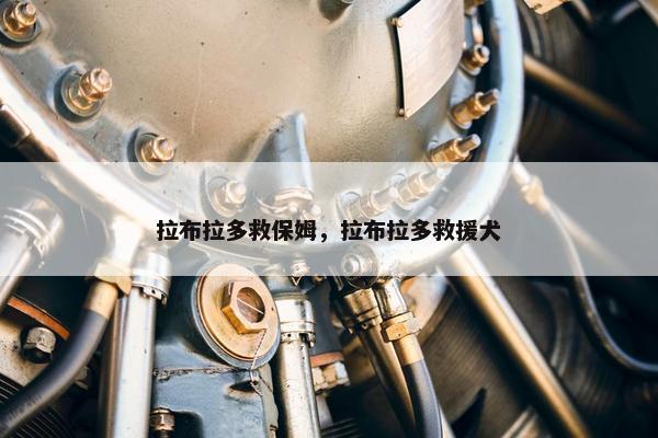 拉布拉多救保姆，拉布拉多救援犬