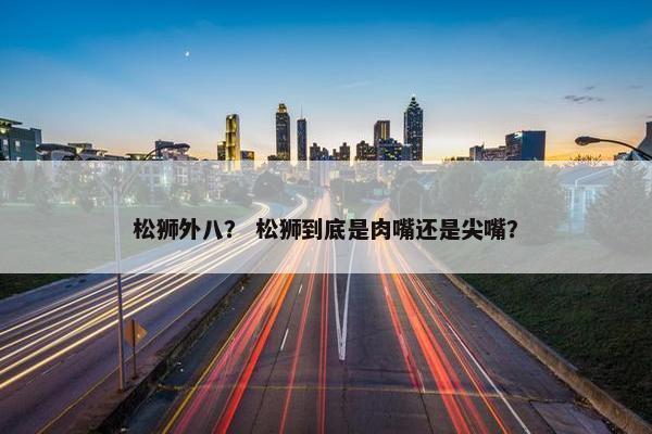 松狮外八？ 松狮到底是肉嘴还是尖嘴？