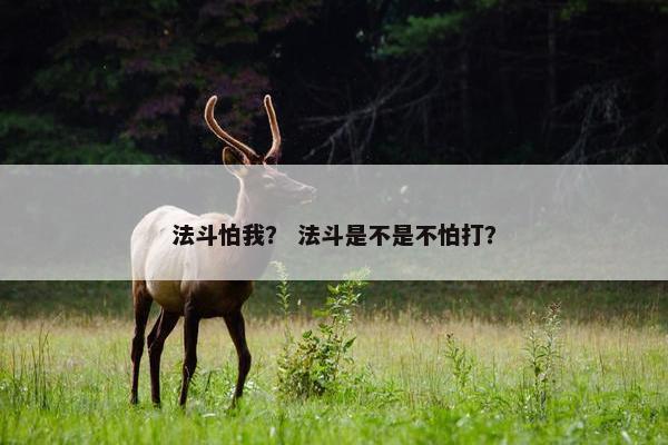 法斗怕我？ 法斗是不是不怕打？