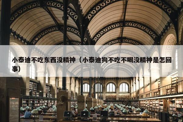 小泰迪不吃东西没精神（小泰迪狗不吃不喝没精神是怎回事）