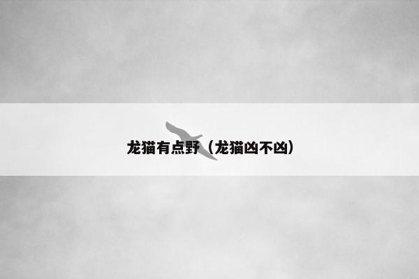 周杰伦