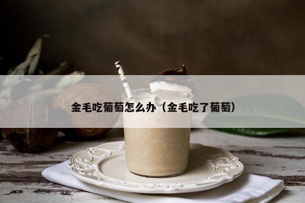 金毛吃葡萄怎么办（金毛吃了葡萄）