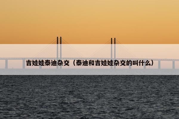 泰迪 第5页