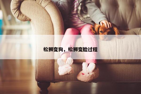 松狮 第15页