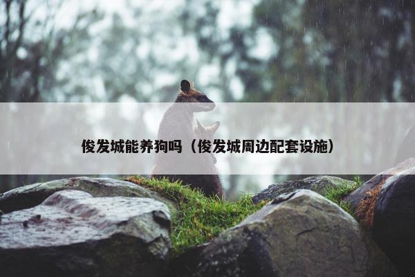 俊发城能养狗吗(俊发城周边配套设施)