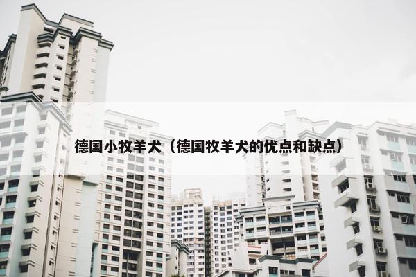 德国小牧羊犬（德国牧羊犬的优点和缺点）