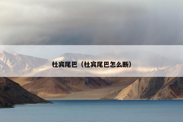 杜宾尾巴（杜宾尾巴怎么断）