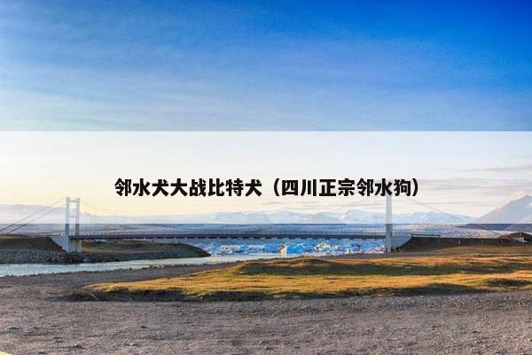 邻水犬大战比特犬（四川正宗邻水狗）
